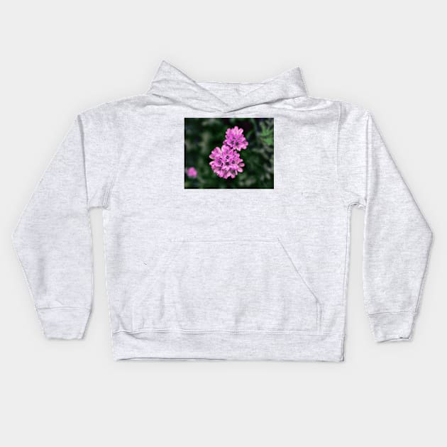 Delicate Pink Flowers Kids Hoodie by JimDeFazioPhotography